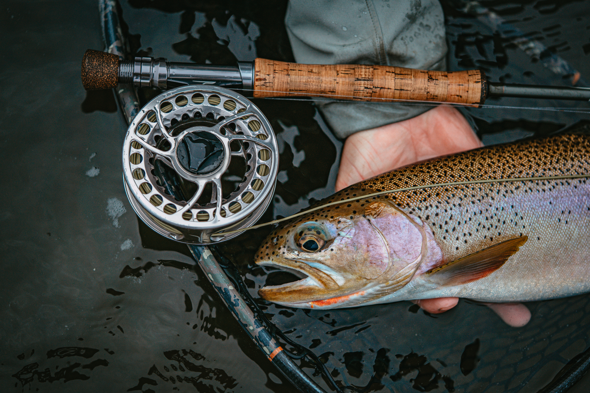 BVK SD Reel - Temple Fork Outfitters