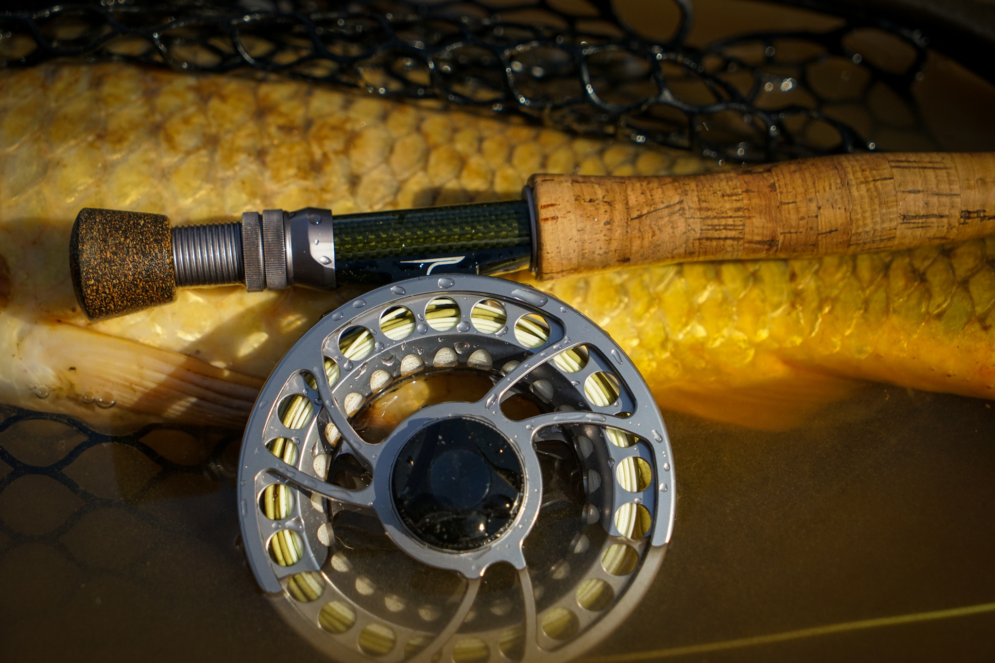 Expert Review: Temple Fork Outfitters BVK Sealed Drag Reel