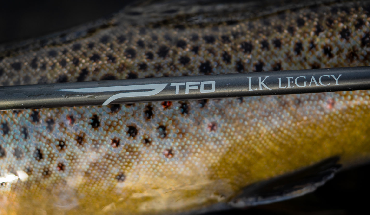 TFO LeftyKreh ProSeries 6wt 9’0 テンプルフォーク TFO LeftyKreh ProSeries 6wt 9'0 テンプルフォーク - メルカリ
