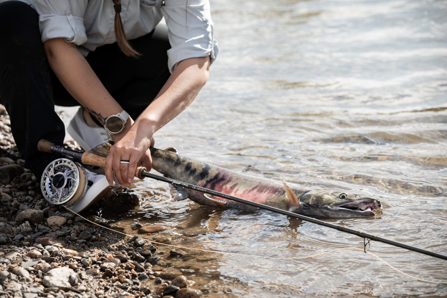 LK Legacy - Temple Fork Outfitters