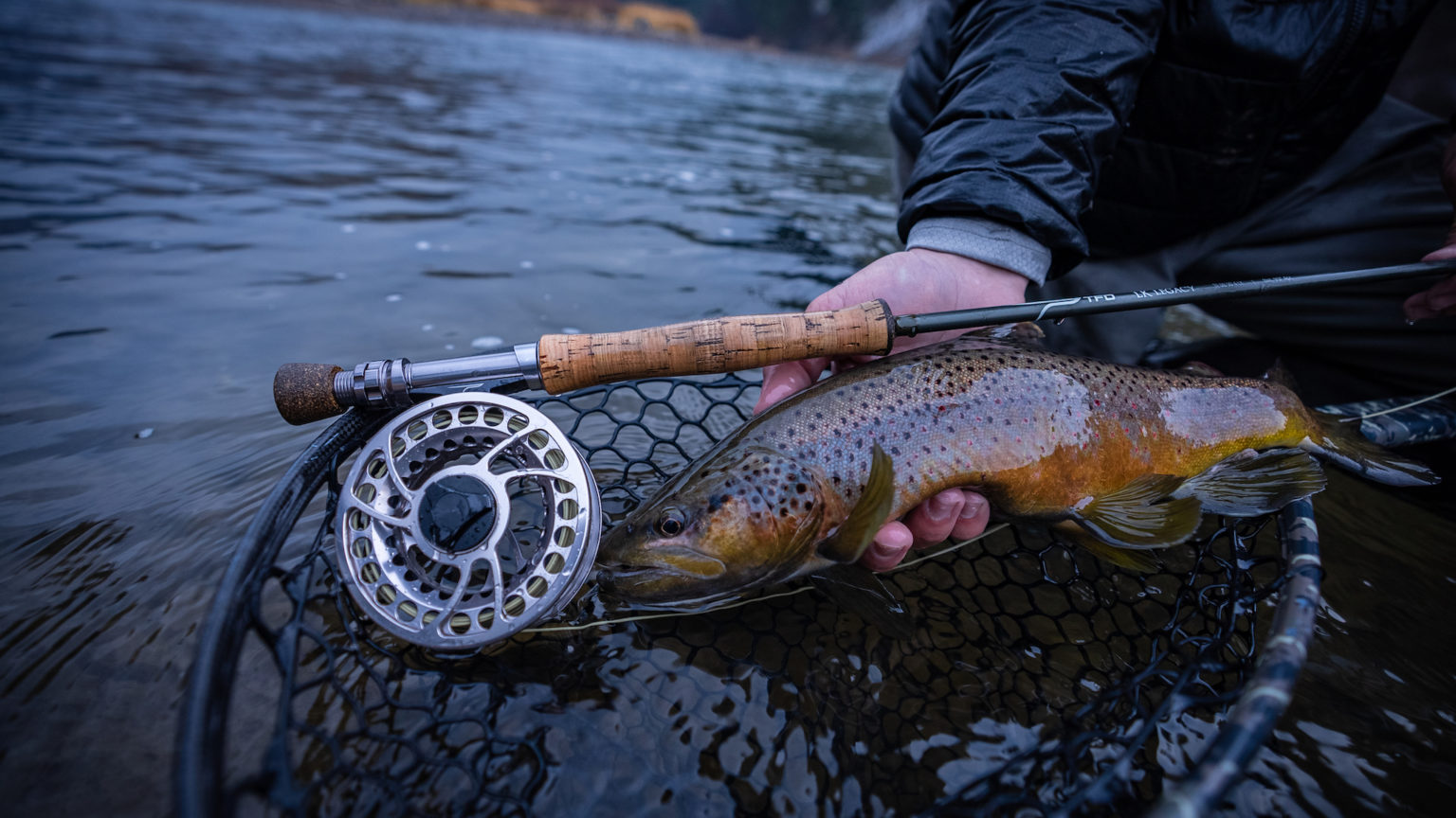 LK Legacy - Temple Fork Outfitters