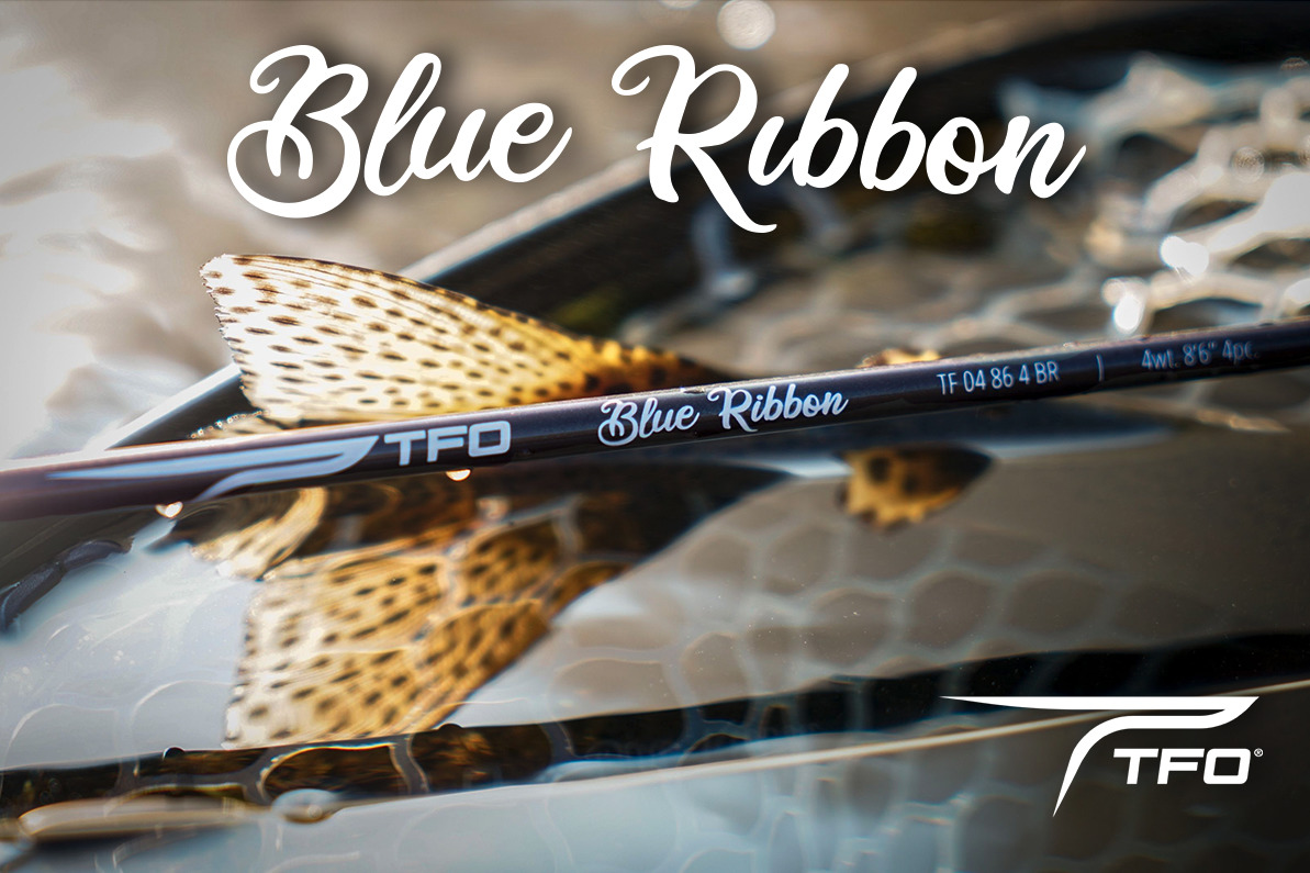 TFO Blue Ribbon 3wt 8'0 – Raft & Fly Shop