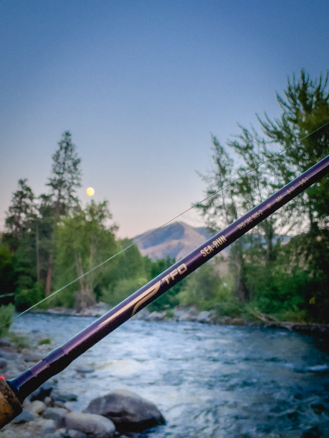 Temple Fork Outfitter Fishing Rods