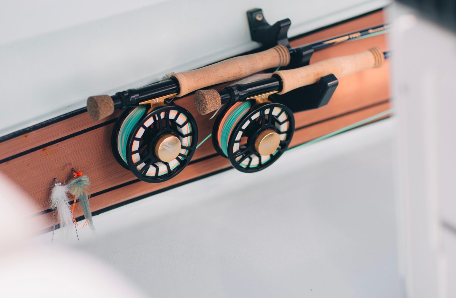 tfo-ntr-bottom-banner-