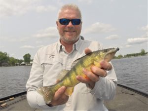 Early Season Perch Fishing Tactics - Temple Fork Outfitters