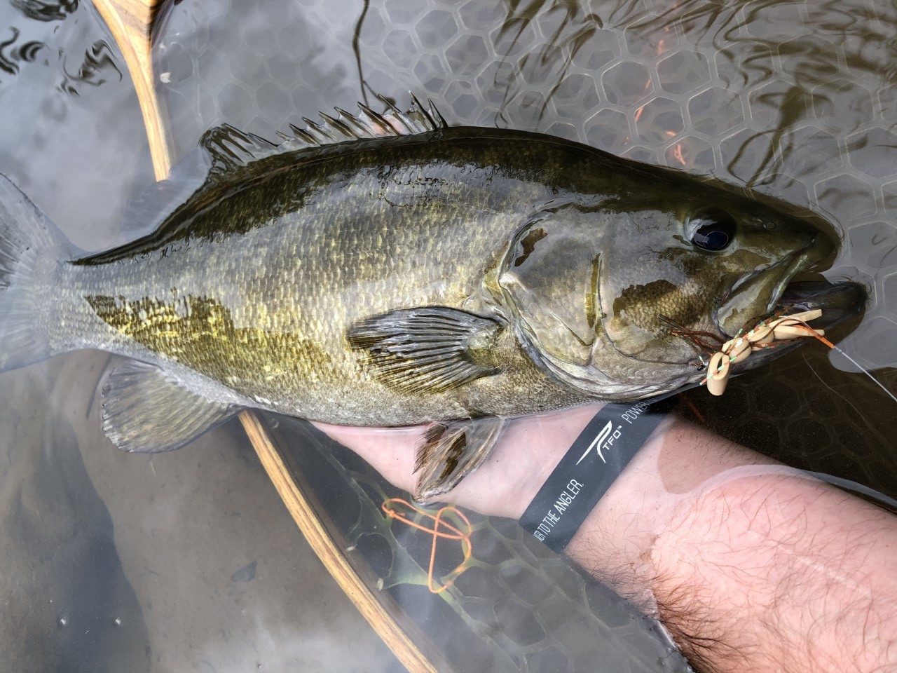 Fly Fishing for Topwater Smallmouth Bass - Fly Fisherman