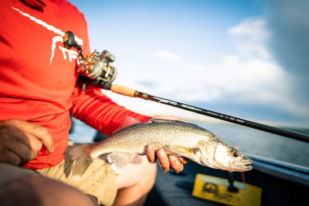 professional walleye trolling Archives - Temple Fork Outfitters