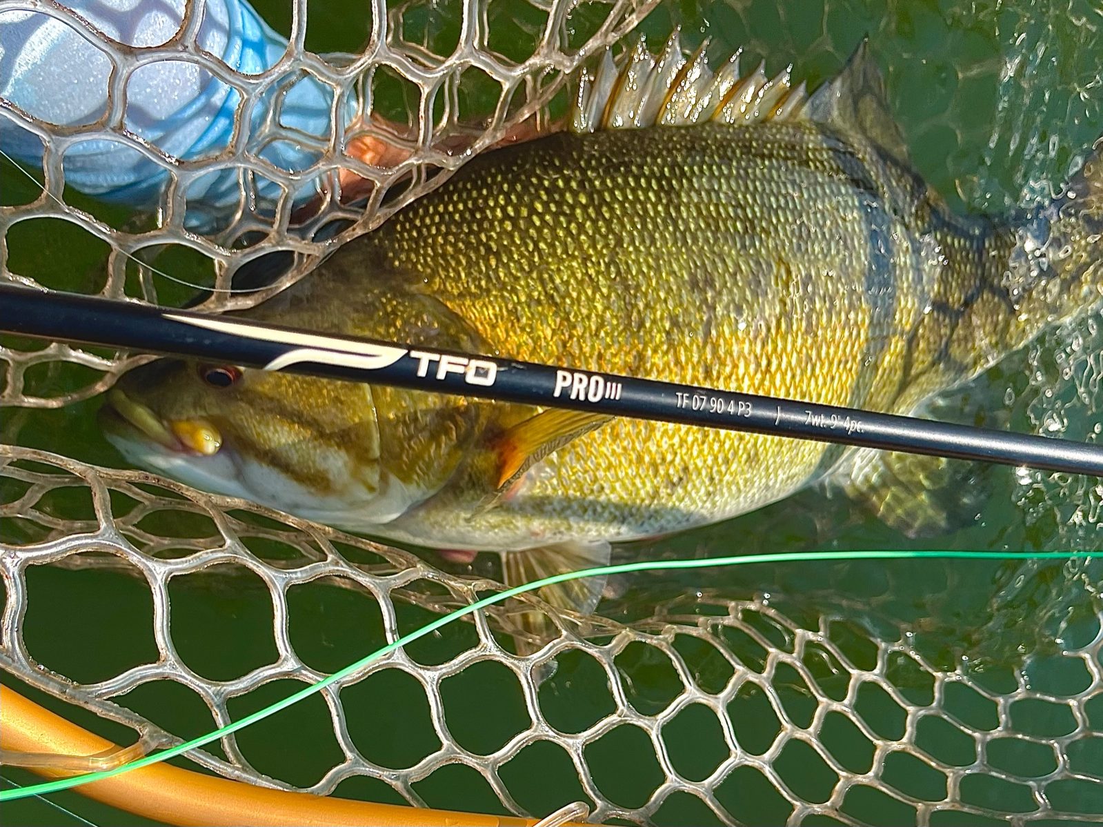 Small Mouth Bass – Blackfin Rods