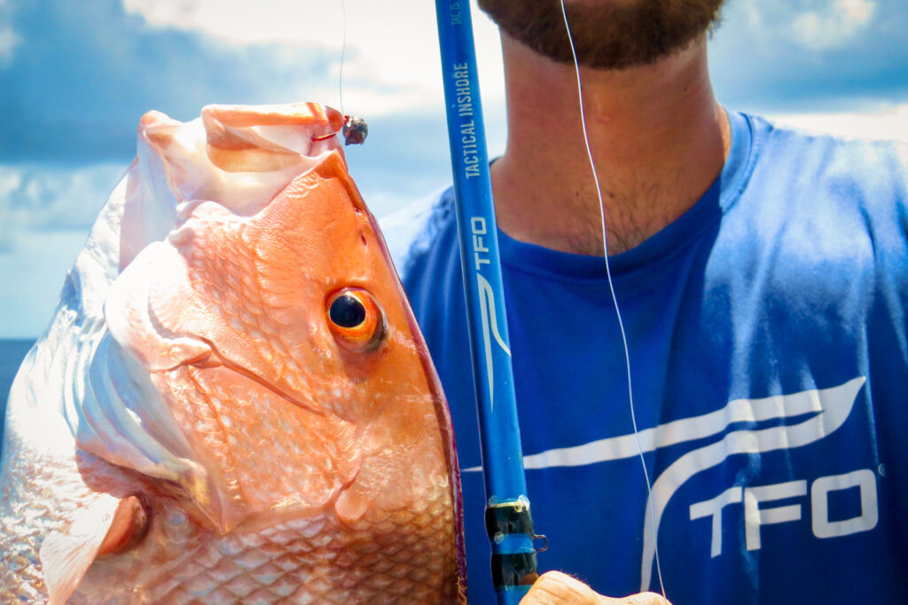 Light Tackle Snapper Fishing - Temple Fork Outfitters