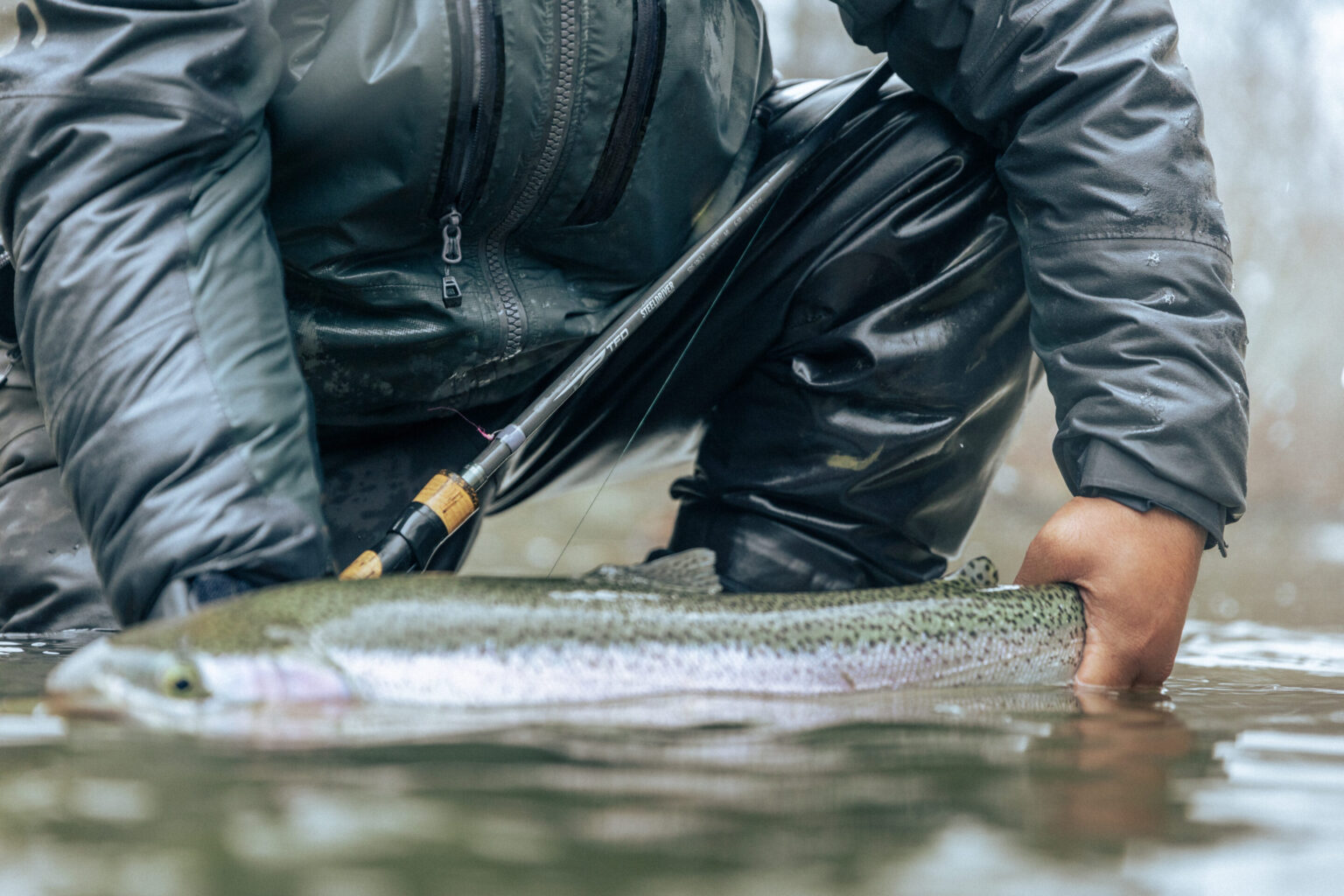 Steeldriver - Temple Fork Outfitters