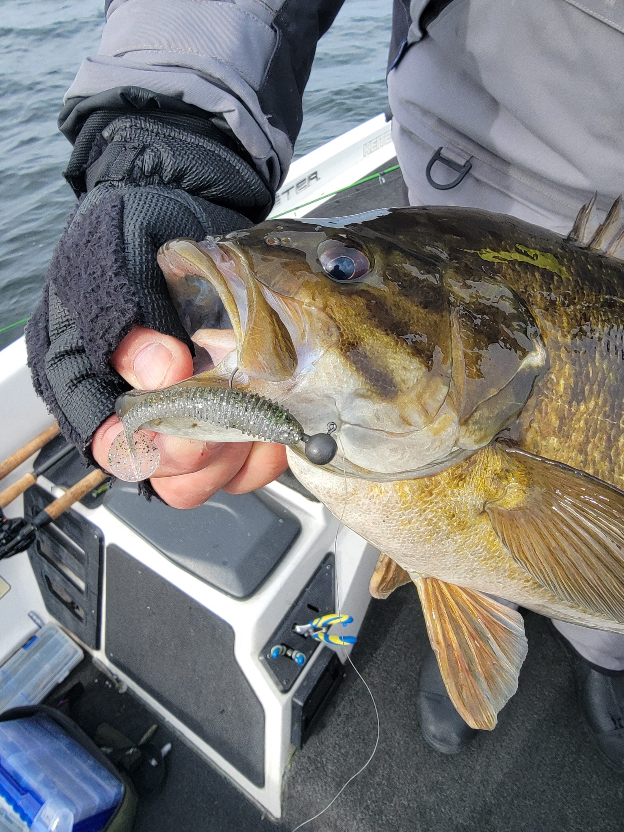 Swimbaits for Cold Water Chaos - Temple Fork Outfitters