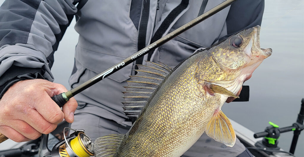 TFO Introduces the Professional Walleye Rods - Temple Fork Outfitters