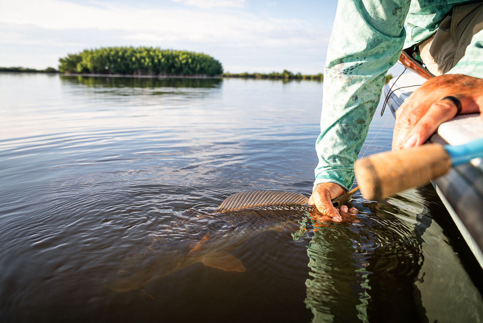 Angler releasing a redfish back into the water after catching it with a TFO IntraCoastal rod