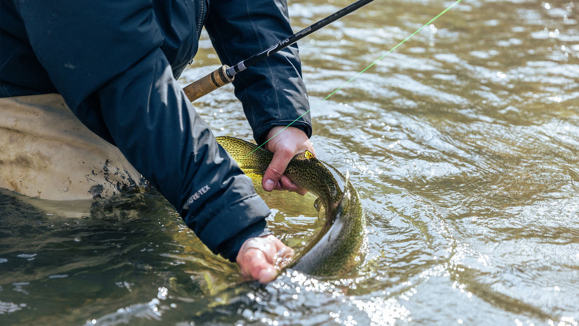 Angler releasing a steelhead in shallow water while holding a TFO Steeldriver Centerpin rod, with bright green line visible against the current.