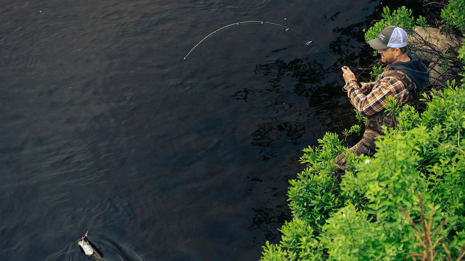 Angler standing in shoreline brush fighting a fish with a TFO Trout Panfish II ultralight spinning rod, the rod bent deep over dark river water as the hooked fish nears the surface.