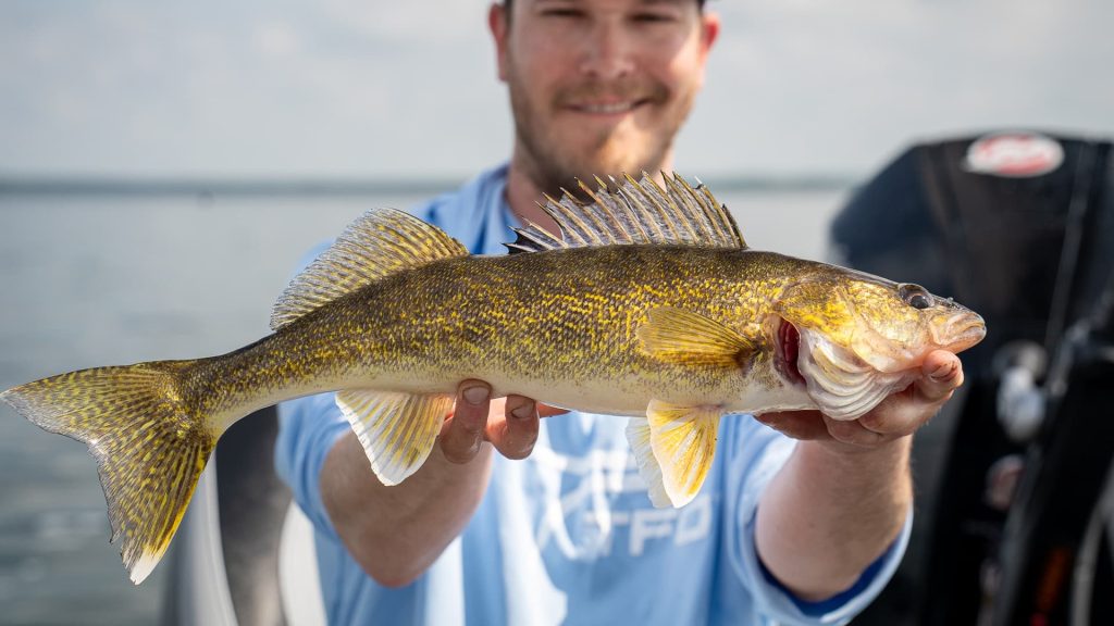 Angler holding a walleye caught on the TFO Marble Eye rod at opener.