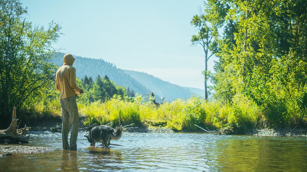 Angler wading a river with a dog during late summer fishing